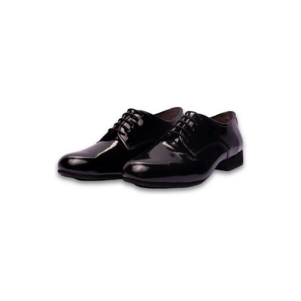 Art. 2054 – Charol negro