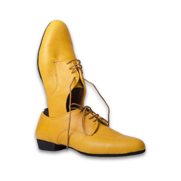 Art. 2054 - Cuero amarillo