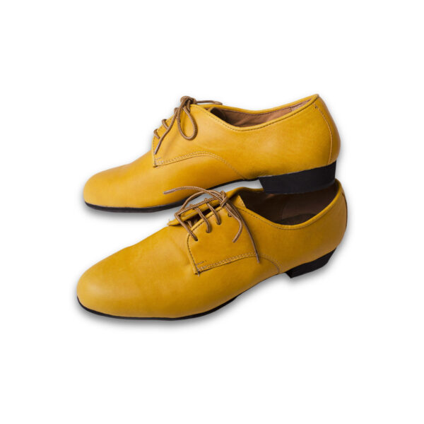 Art. 2054 - Cuero amarillo