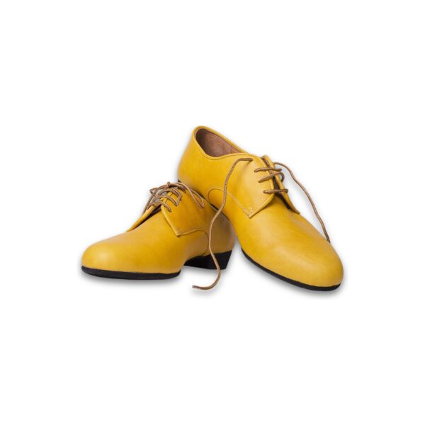 Art. 2054 - Cuero amarillo