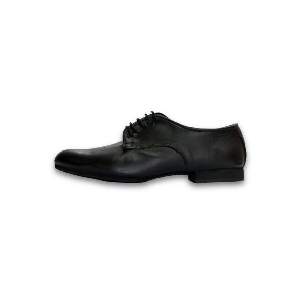 Art. 2054 – Cuero negro